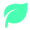 leaf-solid-24 (2)